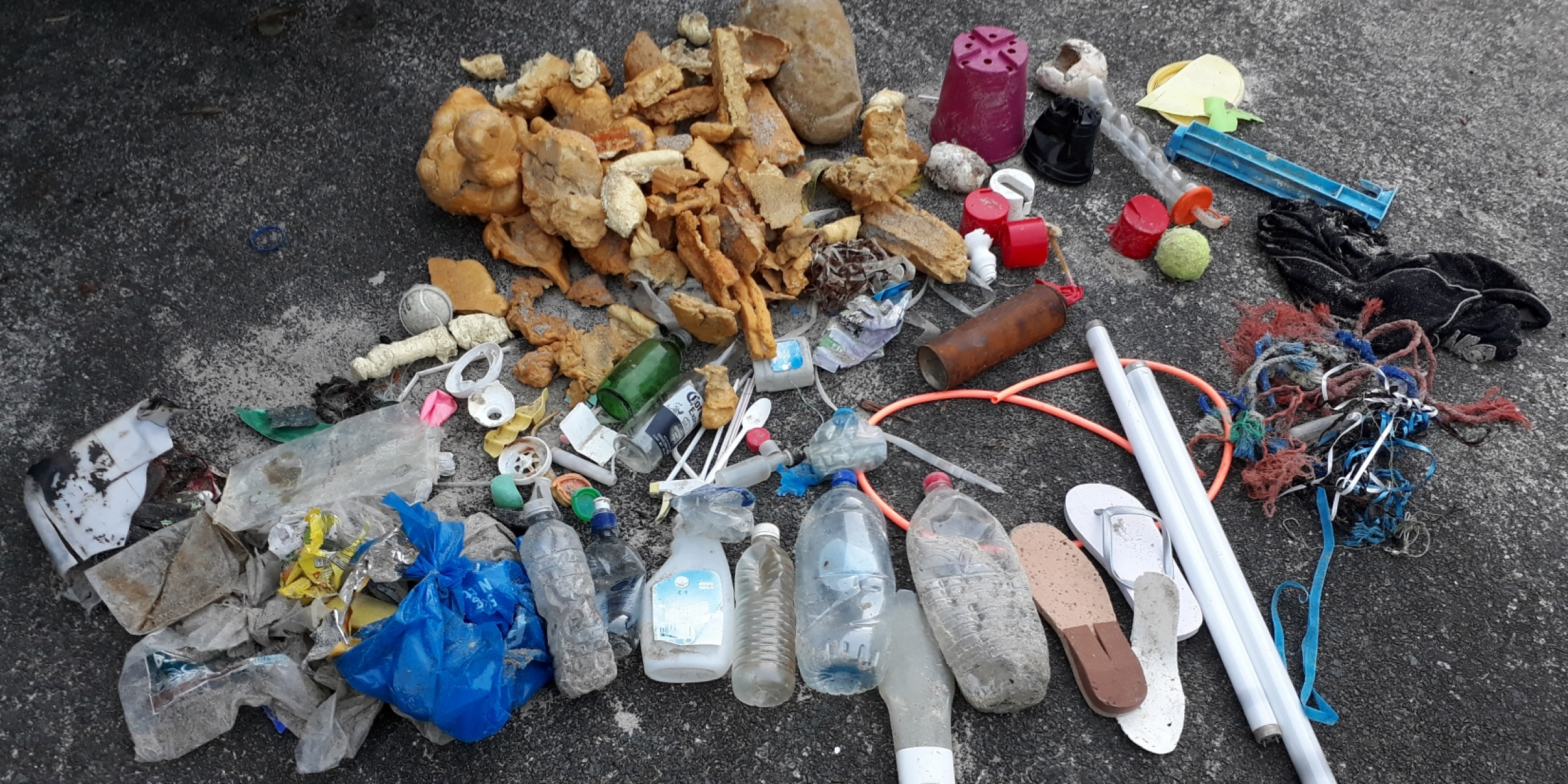 New Zealand must take global lead in ocean plastic crisis Forest and Bird